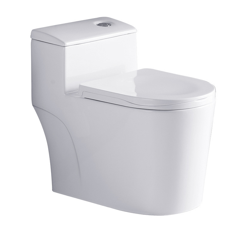 WC in Ceramica, Toilette Sifon - Home Bathroom Ware recensione e prezzo