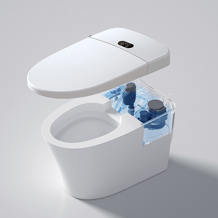 WC intelligente moderno con di - Home Bathroom Ware recensione e prezzo
