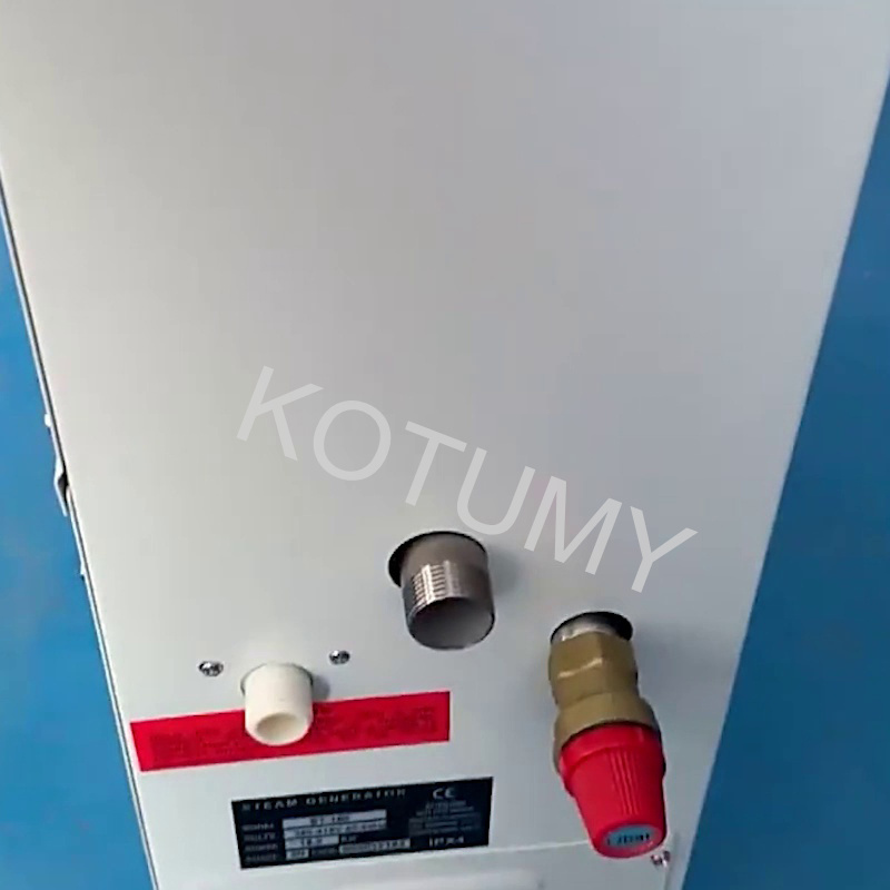 Generatore di Vapore 220V/380V - Home Bathroom With Sauna recensione e prezzo