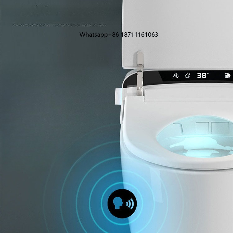 WC Intelligente di Alta Qualit - Home Bathroom Ware recensione e prezzo